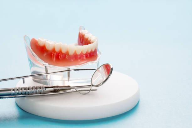 Best Preventive Dentistry  in Weldon, NC